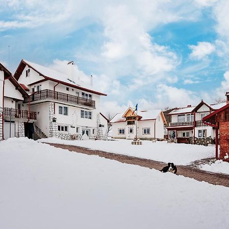 Casuta Cu Flori Hotel Vilcele  Buitenkant foto