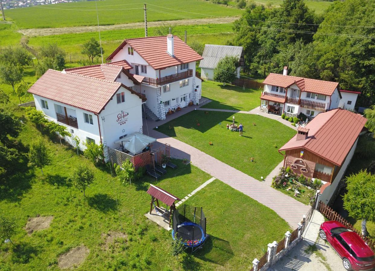 Casuta Cu Flori Hotel Vilcele  Buitenkant foto