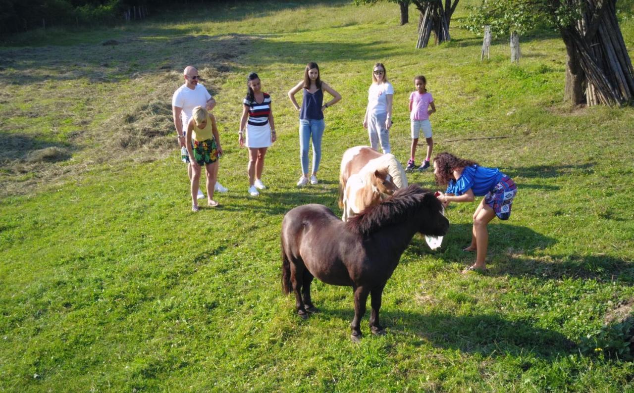 Casuta Cu Flori Hotel Vilcele  Buitenkant foto