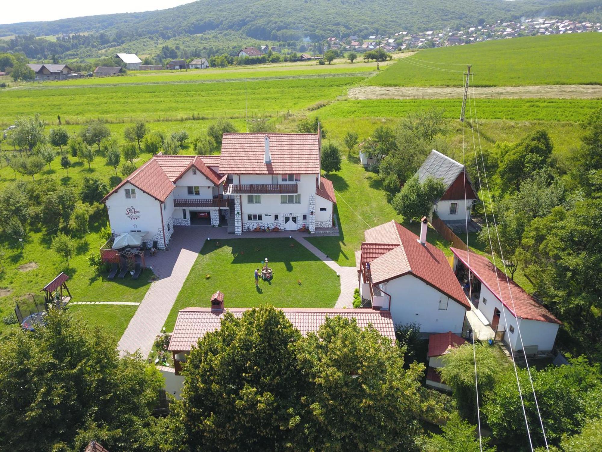 Casuta Cu Flori Hotel Vilcele  Buitenkant foto